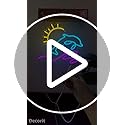 Decorit Dolphin LED Neon Sign