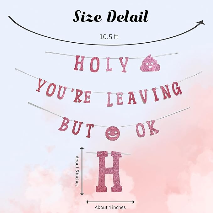 Decorit Holy Shit You are Leaving But Ok Banner